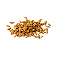 arroz