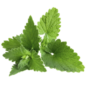 Pachulí