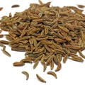 Alcaravea