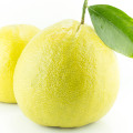 bergamota
