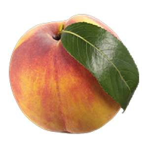 Durazno