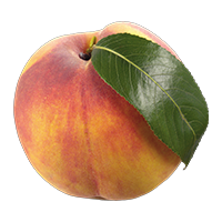 durazno blanco (melocotón blanco)
