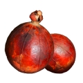 maninka