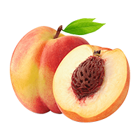 nectarina