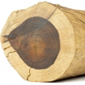 palo de rosa de Brasil