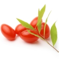 Bayas de Goji