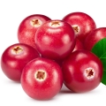 bayas rojas