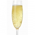 Champagne Rosé