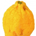 cidra