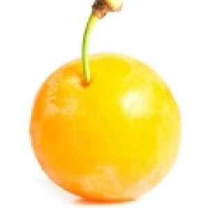 Ciruela Mirabel