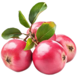 Poma Rosa