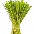 hierba limón (zacate limón)