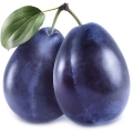 Mirabelle Plum