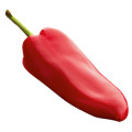 pimiento morrón