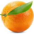 naranja sanguina